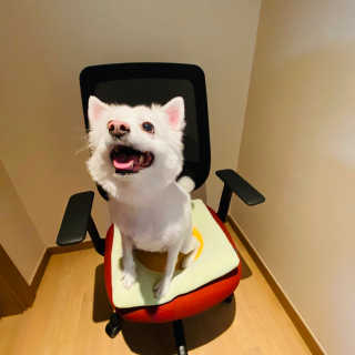 희주곽님이 올린 리뷰 사진 2