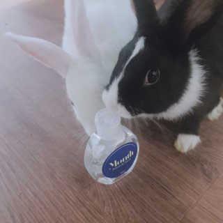 지니야님이 올린 리뷰 사진 3