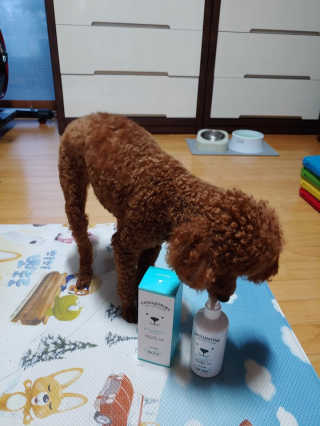 너구리양님이 올린 리뷰 사진 1
