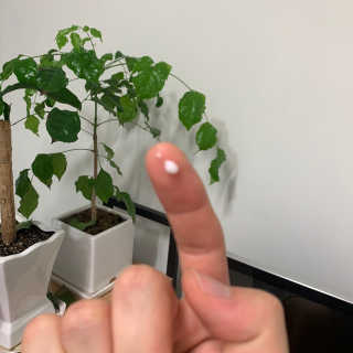 김창희님이 올린 리뷰 사진 2