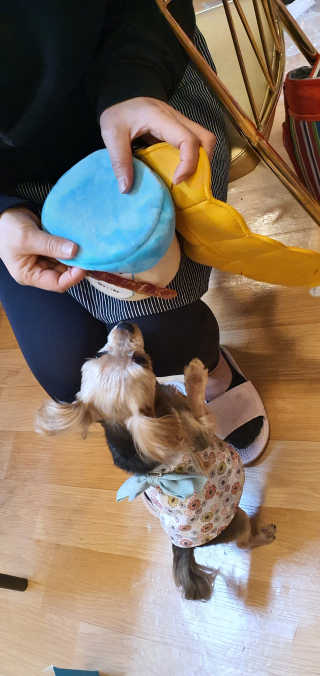 포포맘님이 올린 리뷰 사진 3