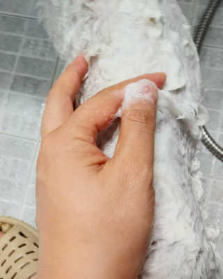 lovelyb님이 올린 리뷰 사진 4