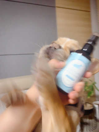 이은향님이 올린 리뷰 사진 4
