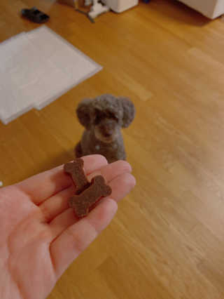 sooholuv님이 올린 리뷰 사진 3