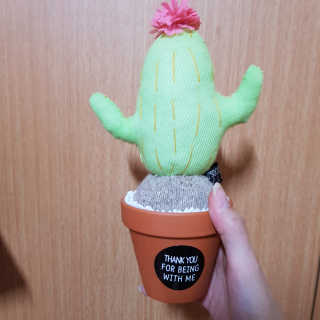 유자씨🍀님이 올린 리뷰 사진 1