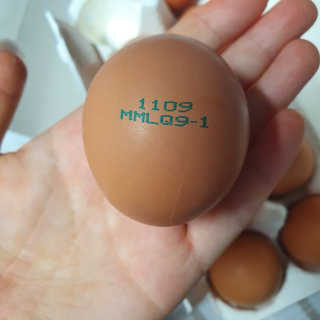 케키님이 올린 리뷰 사진 3