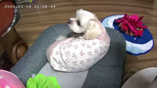 youngran님이 올린 리뷰 사진 4