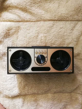 SEVIZ RETRO20W 레트로 블루투스 스피커 — 5점을 준 리뷰어가 2020년 8월 올린 사용 사진