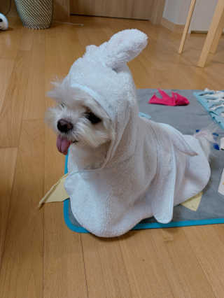 니코니코니님이 올린 리뷰 사진 2