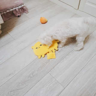 라임님이 올린 리뷰 사진 2