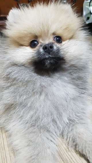 짱아언니님이 올린 리뷰 사진 4