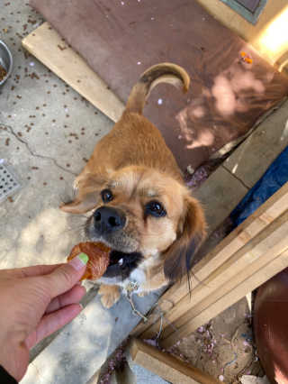 리기님이 올린 리뷰 사진 1