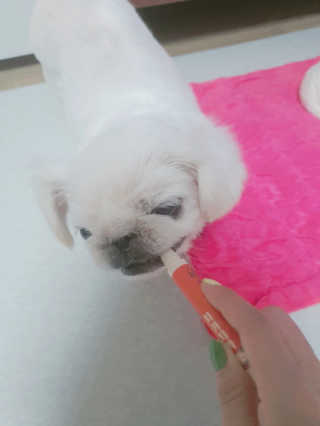 쭈똘지안님이 올린 리뷰 사진 1
