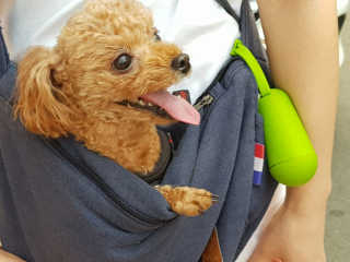 MijeongKim님이 올린 리뷰 사진 3