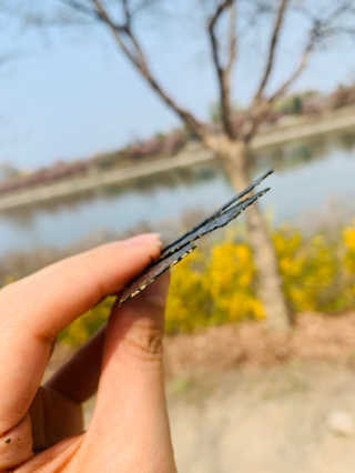 뉴뉴님이 올린 리뷰 사진 4