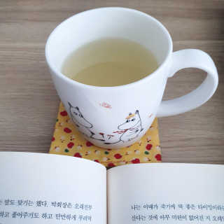 멜로아티톡스 애플비트, 진저라임 상큼하게 가벼워질 땐 멜로아티톡스 애플비트 진저라임 — 5점을 준 리뷰어가 2020년 5월 올린 사용 사진