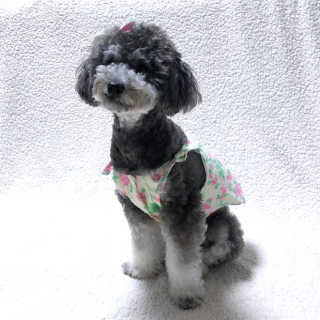 바니님이 올린 리뷰 사진 3