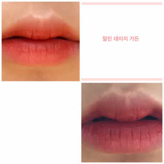 [블랙루즈] 에어 핏 벨벳 틴트 시즌6 5종 중 택1+랜덤1 — 4.5점을 준 리뷰어가 2020년 6월 올린 사용 사진