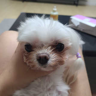 마구마구님이 올린 리뷰 사진 3