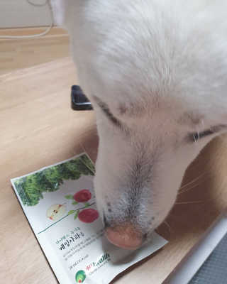 딸랑구둘🥰님이 올린 리뷰 사진 2