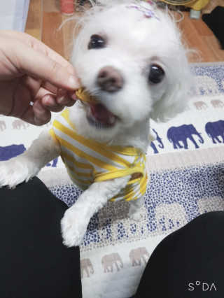 두부님이 올린 리뷰 사진 2