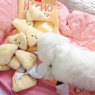 lala님이 올린 리뷰 사진 2