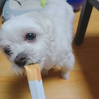 쮸디님이 올린 리뷰 사진 1