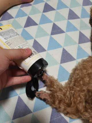 초코에몽님이 올린 리뷰 사진 3