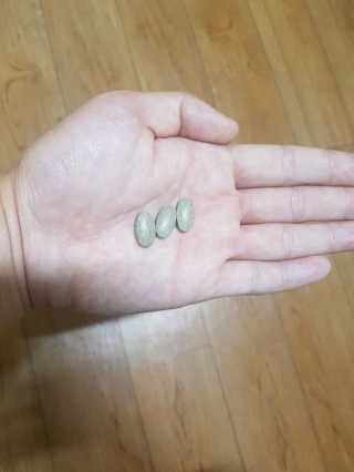 조은택님이 올린 리뷰 사진 4