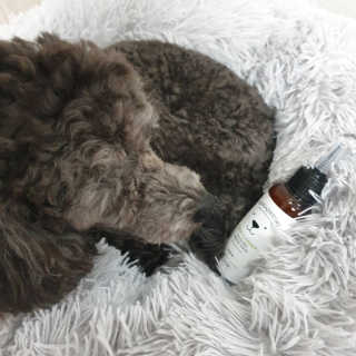 지나짱님이 올린 리뷰 사진 1