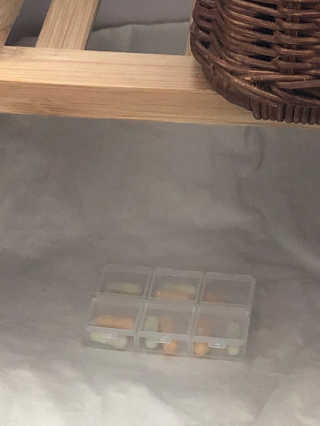 [이너블릭] 이너바이오 프로폴리스 골드 30캡슐 — 5점을 준 리뷰어가 2020년 4월 올린 사용 사진