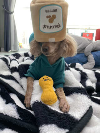minji님이 올린 리뷰 사진 1