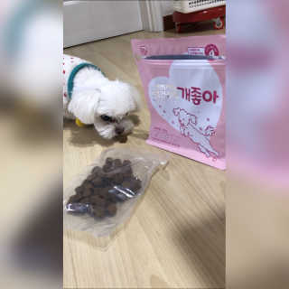 My Pet Care 천연단백질 관절건강에 개좋아 — 5점을 준 리뷰어가 2020년 11월 올린 사용 사진