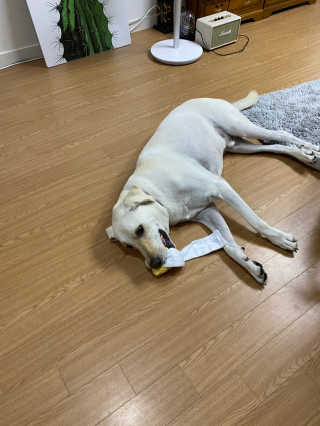 정봐기린님이 올린 리뷰 사진 1