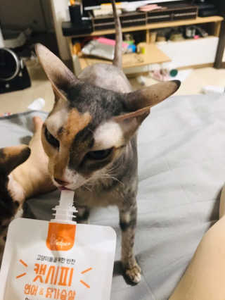 narihalmany님이 올린 리뷰 사진 4