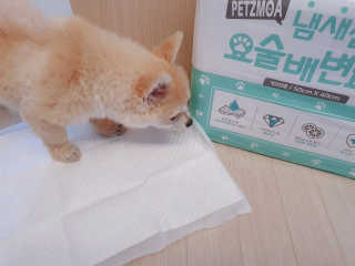 좋아님이 올린 리뷰 사진 3