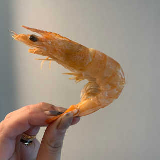 오뎅님이 올린 리뷰 사진 3