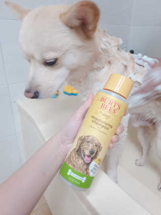코코미짱님이 올린 리뷰 사진 4