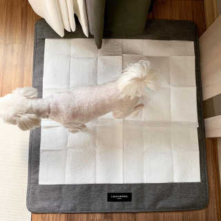 떠라님이 올린 리뷰 사진 2