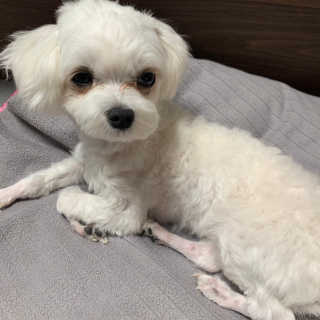 이녀잉님이 올린 리뷰 사진 4