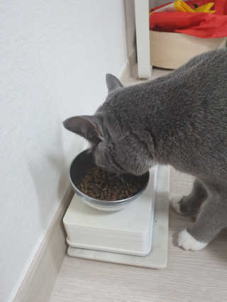 술꿀이님이 올린 리뷰 사진 4