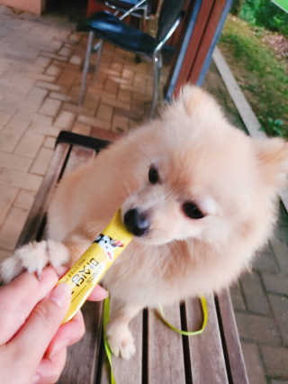 으콩님이 올린 리뷰 사진 3