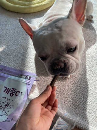 My Pet Care 천연단백질 치아건강에 개좋아 — 5점을 준 리뷰어가 2020년 12월 올린 사용 사진