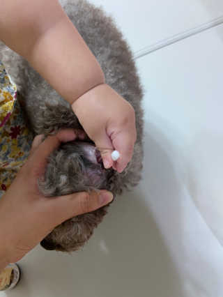 미달이님이 올린 리뷰 사진 2