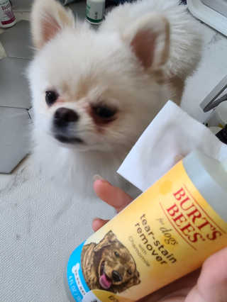 유화님이 올린 리뷰 사진 2