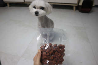My Pet Care 천연단백질 눈건강에 개좋아 — 5점을 준 리뷰어가 2020년 12월 올린 사용 사진