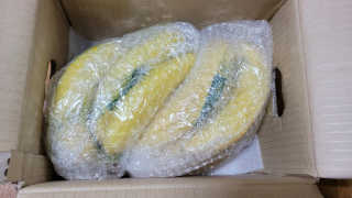 [스미후루] 감숙왕 바나나 2팩 2.6kg 이벤트 — 5점을 준 리뷰어가 2020년 10월 올린 사용 사진