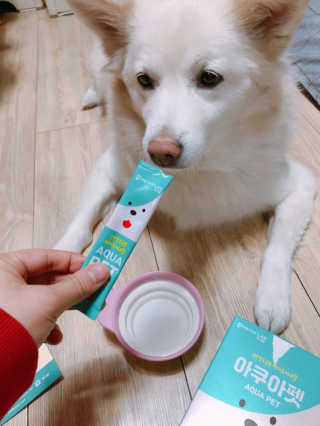 펫시랩 반려견용 액상 프리바이오틱스 아쿠아펫 — 5점을 준 리뷰어가 2020년 12월 올린 사용 사진