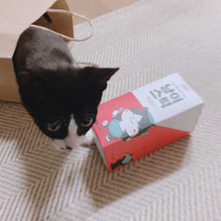 심정님이 올린 리뷰 사진 4