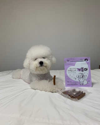 My Pet Care 천연단백질 치아건강에 개좋아 — 5점을 준 리뷰어가 2020년 11월 올린 사용 사진